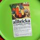 Allbricka Melamine Tray Sets — Sweden, 1960s/1970s