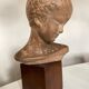 Child's head in terracotta 1920 wooden base