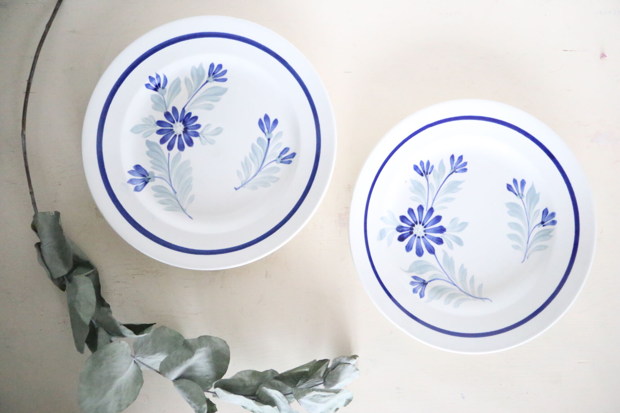 Dessert plates x 5, Saint Amand, hand-painted pattern, floral, French manufacture, vintage