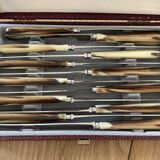 Case of 12 dessert knives