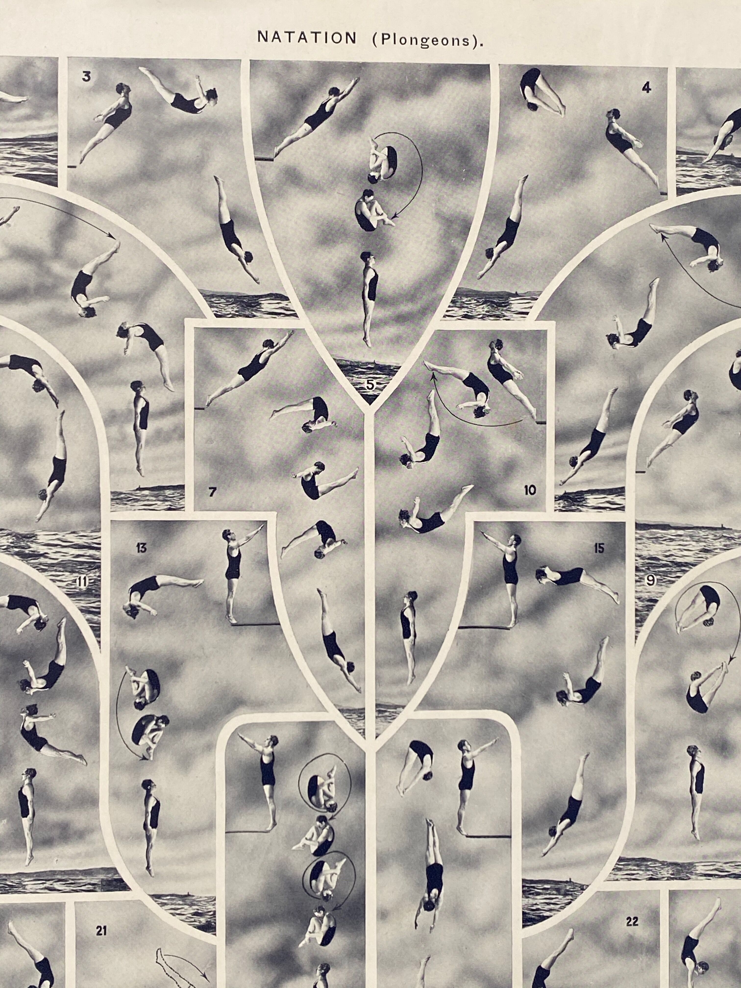 Former illustration Larousse "Swimming"