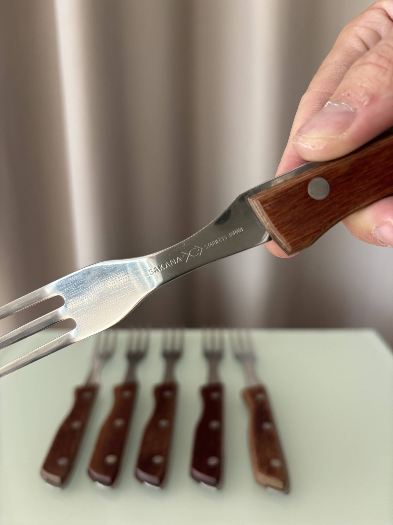 Set of 6 Vintage Sakana Japan Forks | Stainless Steel & Wood Handles