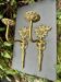 2 wall sconces in solid brass "Medusa" 1950s