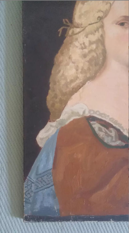 Copy of the portrait of Violante Negretti, by Titien