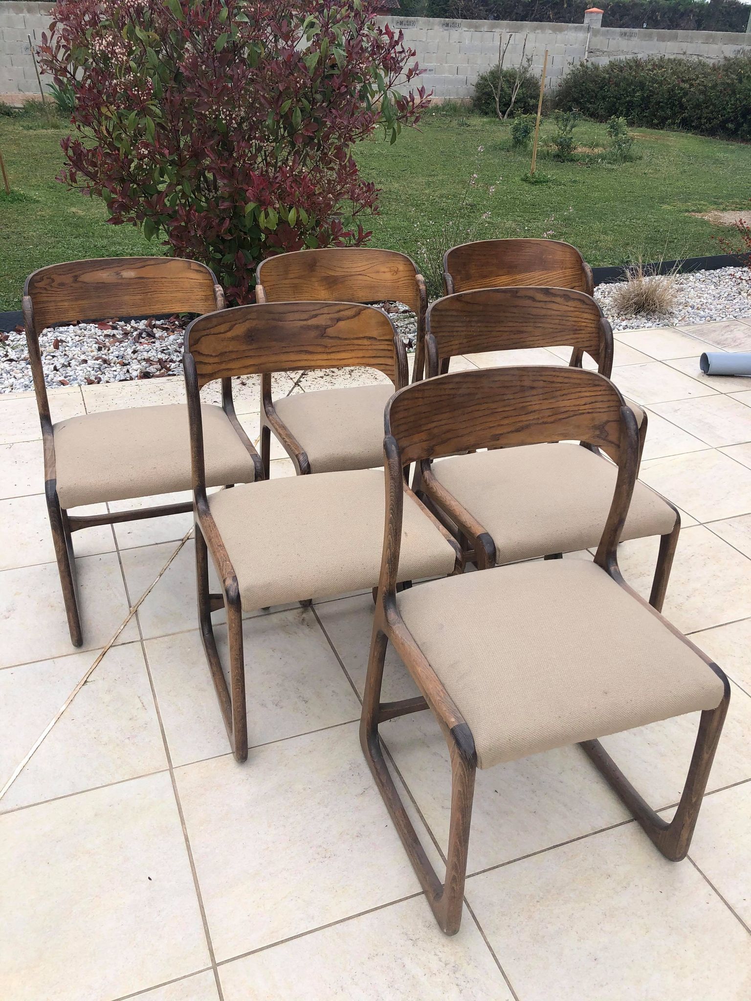 Lot of 6 chairs Baumann Sleigh