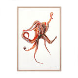 "Georgia", the octopus, art print 21/29.7 cm