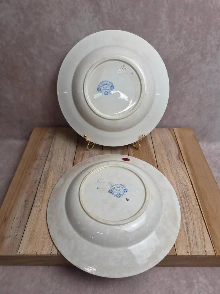 Set of 2 deep plates in Sarreguemines ironstone – Jardinière model – Various decorations