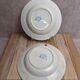 Set of 2 deep plates in Sarreguemines ironstone – Jardinière model – Various decorations