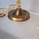 Tulip swan neck desk lamp in frosted glass