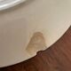 Flat plates Sarreguemines Terre de Fer model Blue Favorite