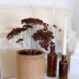 Old terracotta pot Provence XIX th