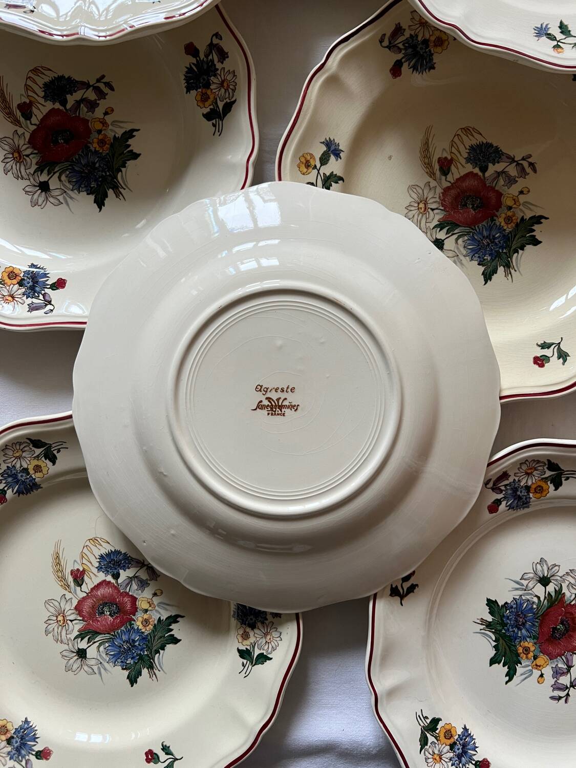 Agreste Sarreguemines plates