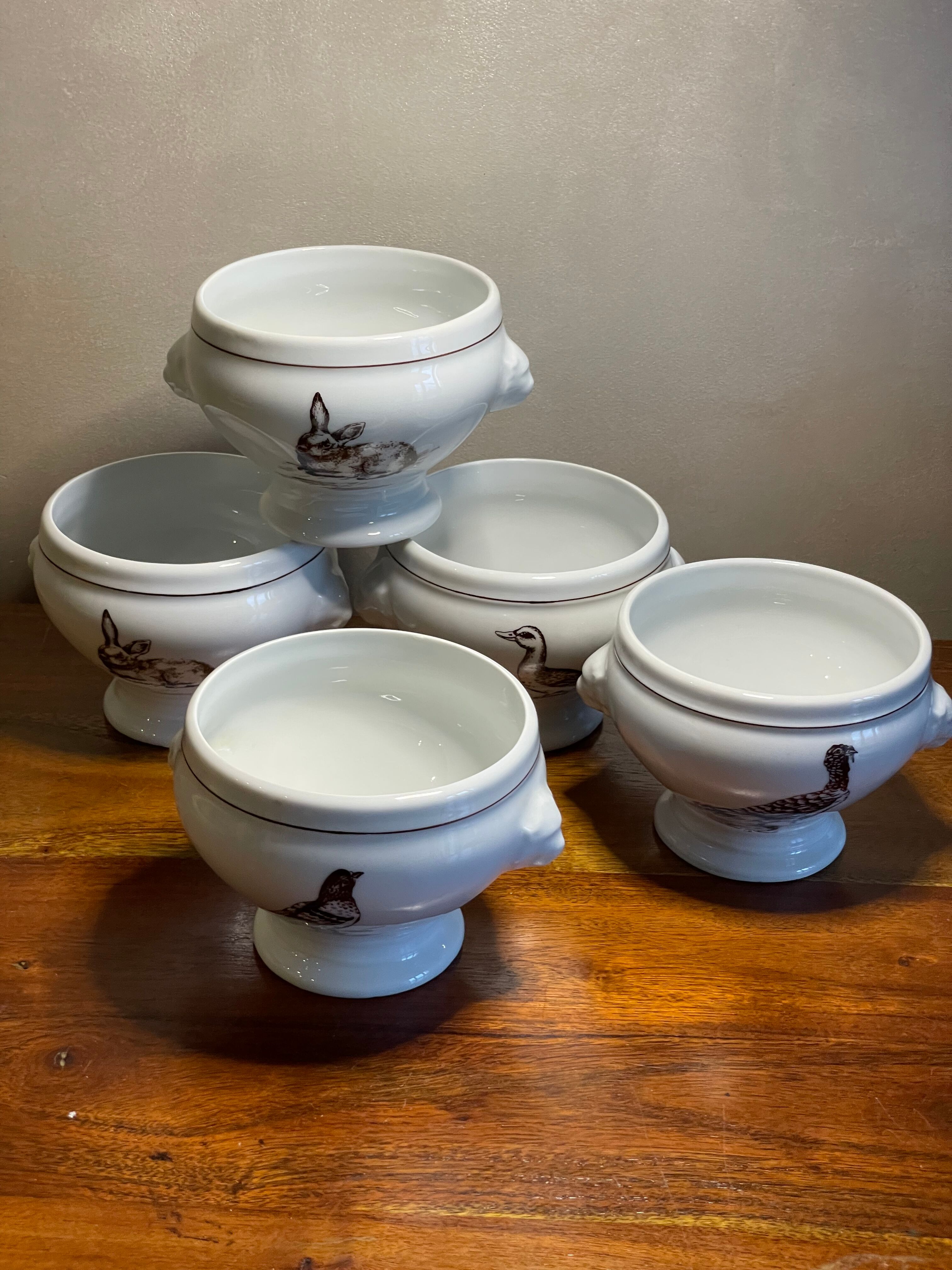 5 bowls to gratin soup porcelain fire Lourioux France