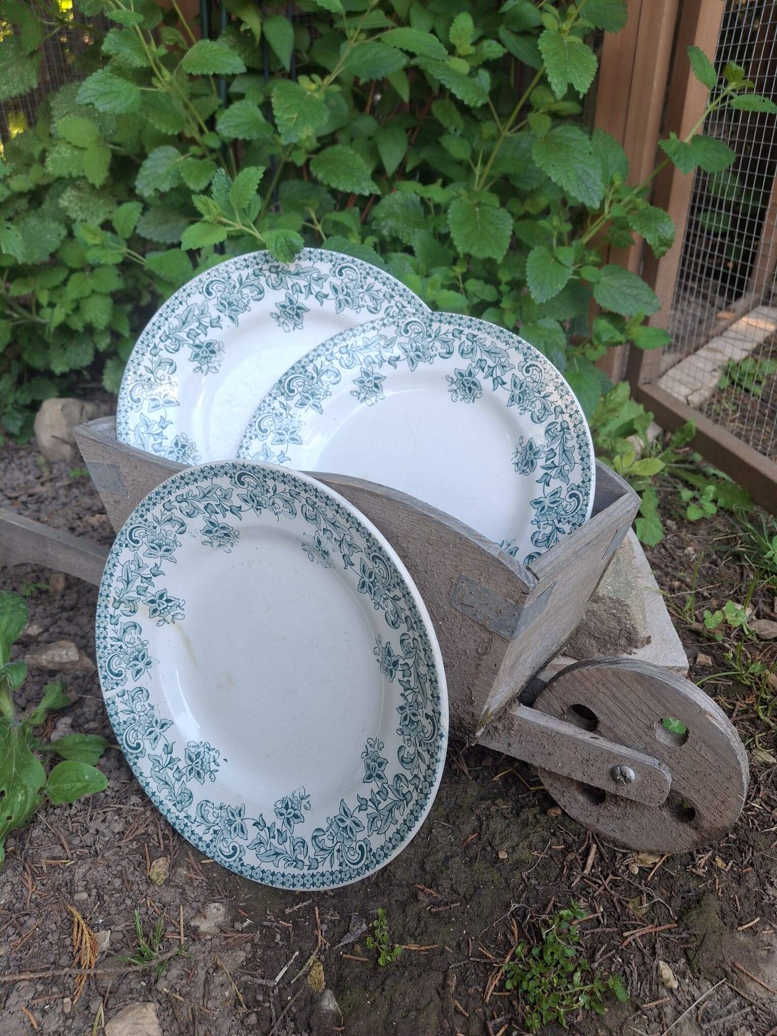 Set of 4 antique ironstone plates from Saint-Amand, "Jane" model.