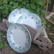Set of 4 antique ironstone plates from Saint-Amand, "Jane" model.