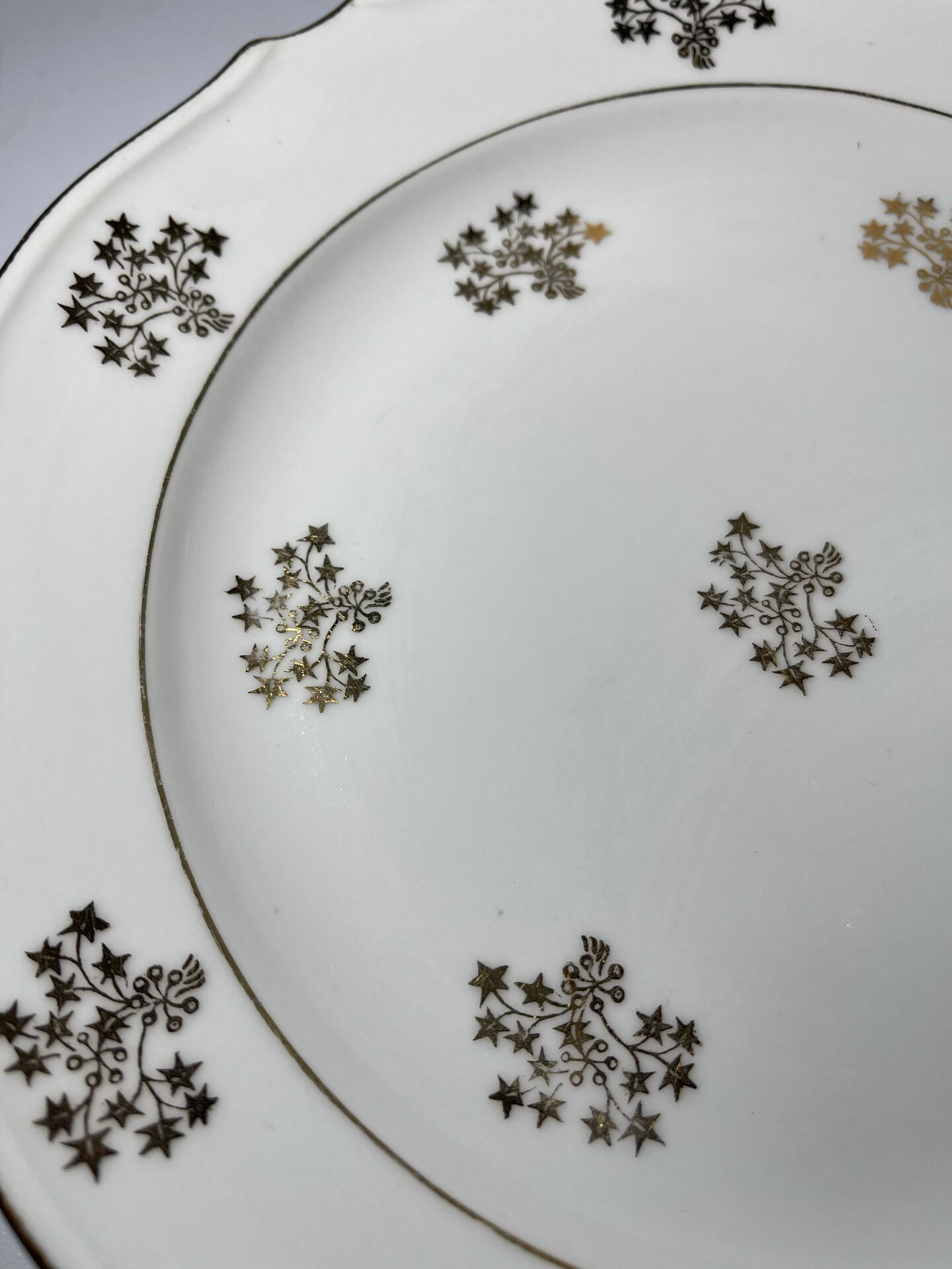 6 vintage Limoges porcelain plates – Pasta & Enamels – Decor of