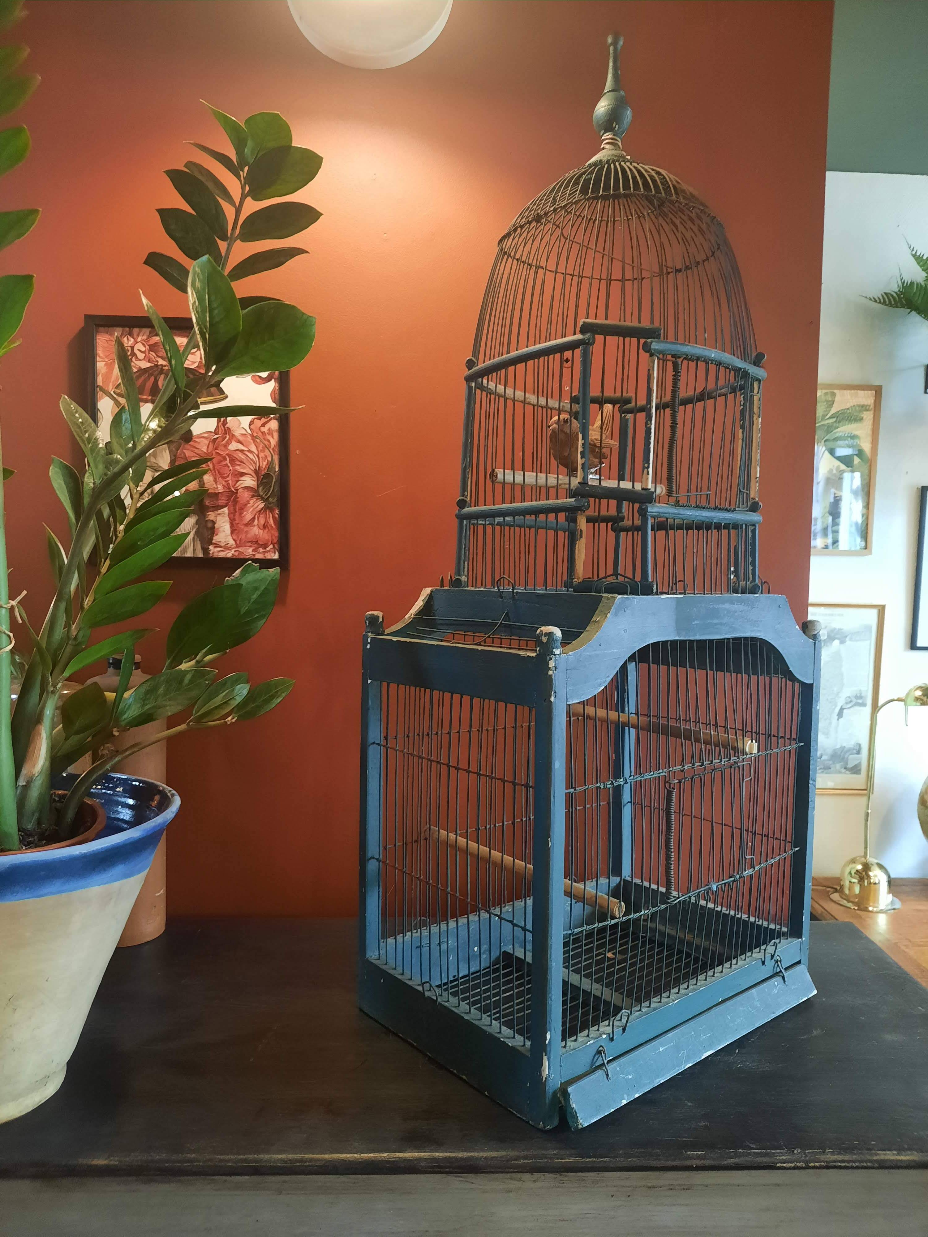 Victorian bird cage
