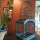 Victorian bird cage