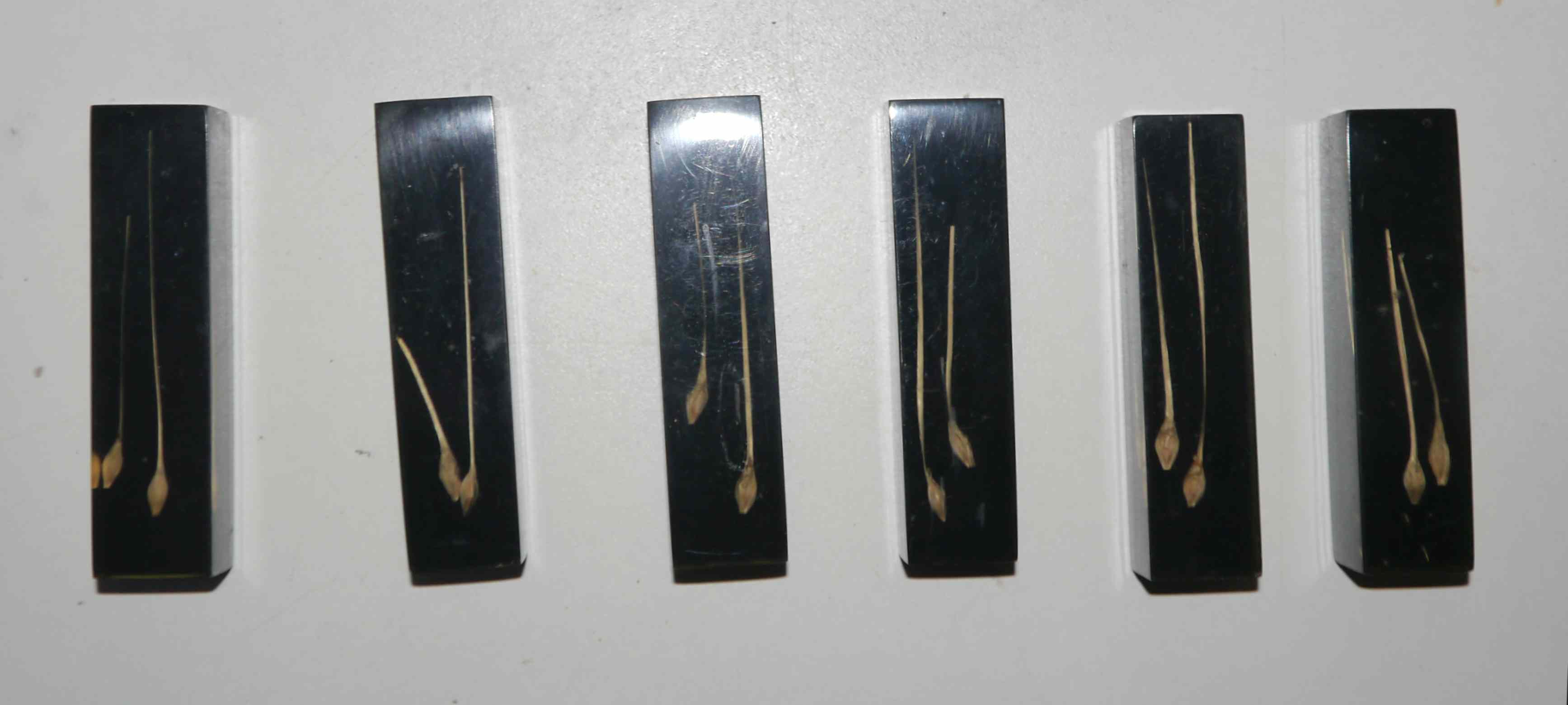 Service of 6 resin knife holders and inclusion 60's years