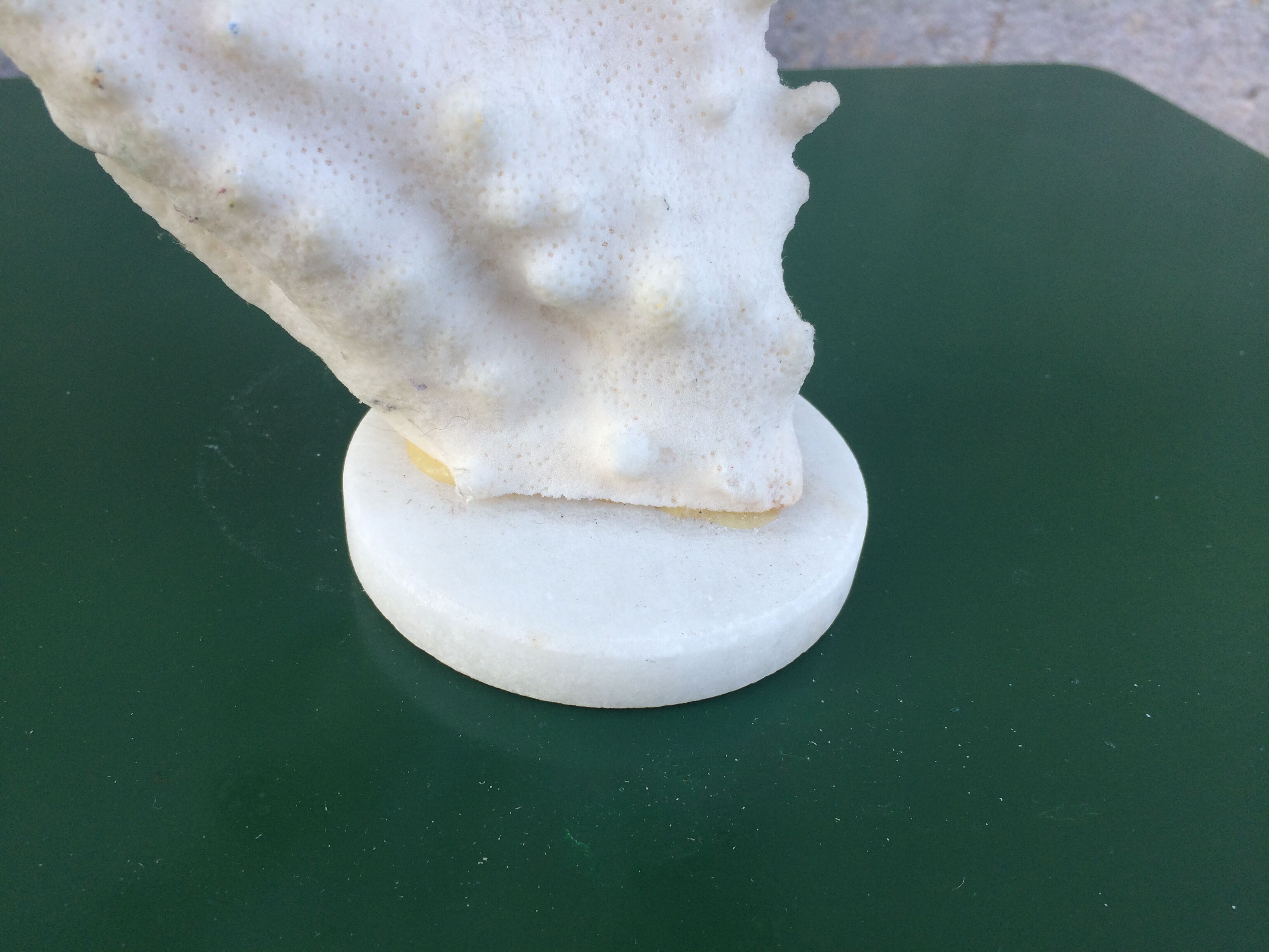 Coral branch 46 x 31 cm on alabaster marble base