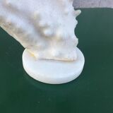 Coral branch 46 x 31 cm on alabaster marble base