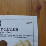 Educational poster DEYROLLE