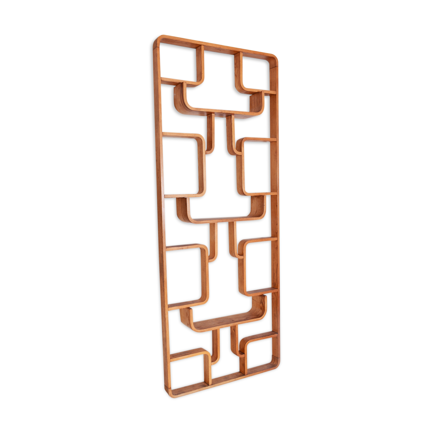 Ash Room Divider Wall Unit, Ludvik Volak for Drevopodnik Holesov, 1960s