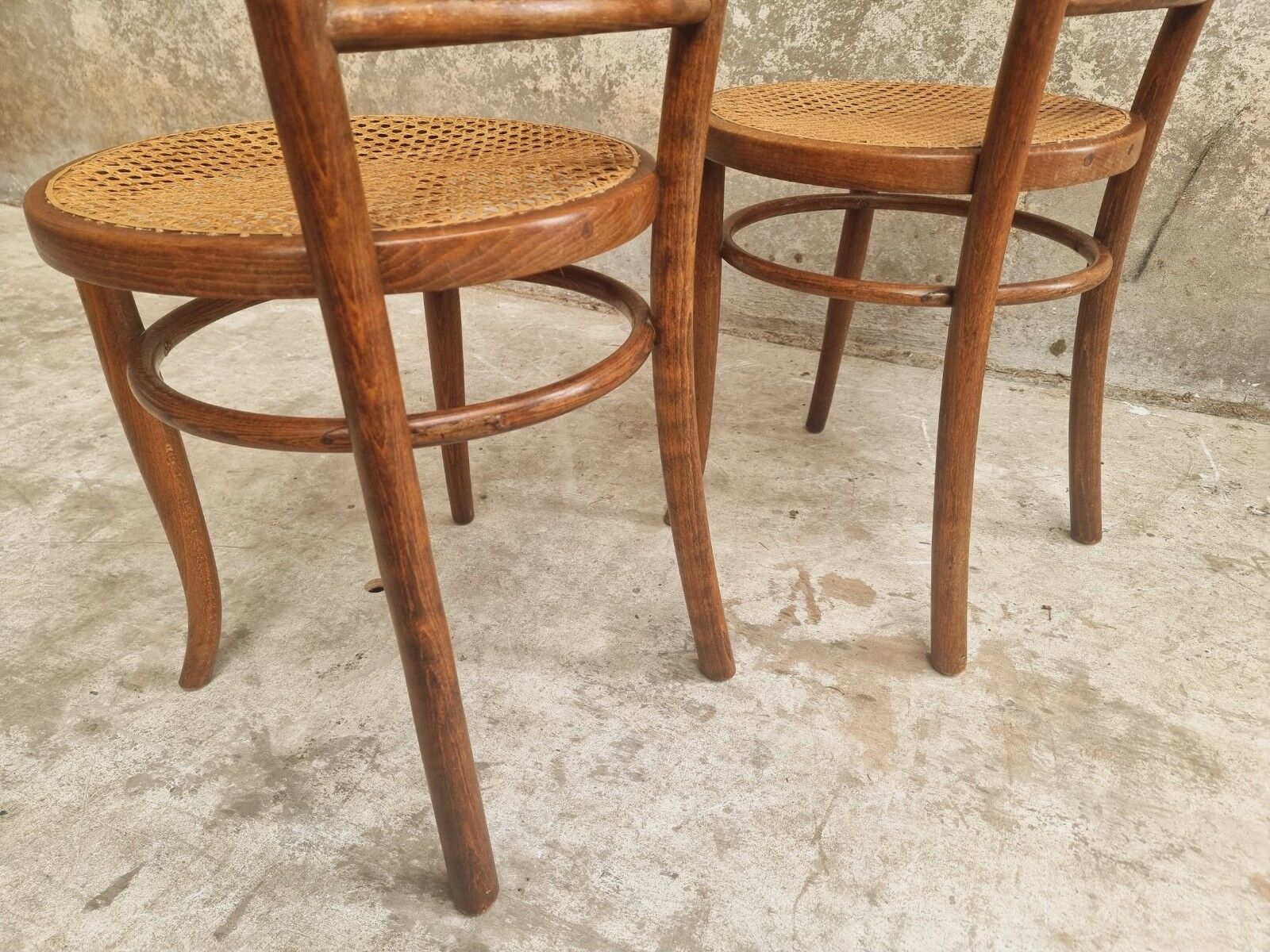 Antique chairs by Fischel