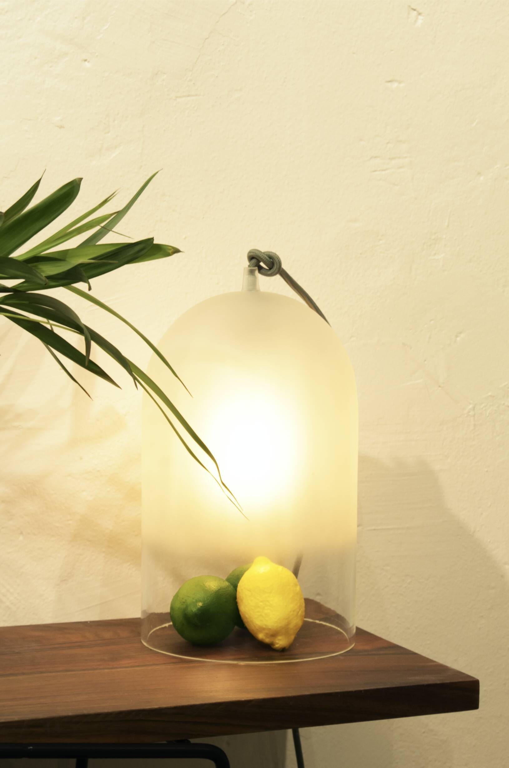 Dewy lamp