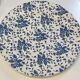 Blue Flower Plates Tudor Royal Grindley