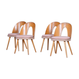 Chairs by Antonín Šuman 1950