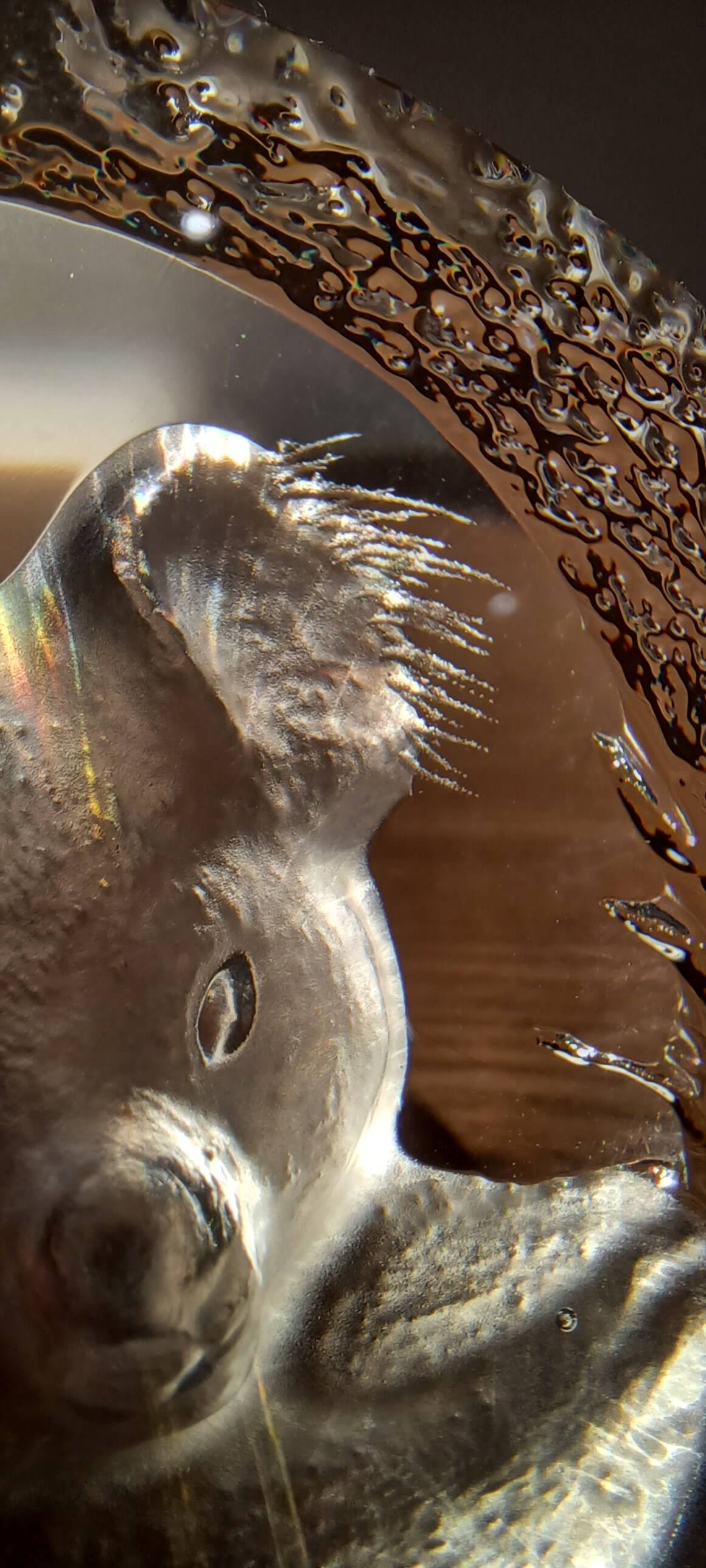 Koala crystal figurine by mats jonasson.