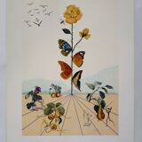 Salvador Dali: Flordali, The Butterfly Rose, original signed lithograph