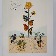 Salvador Dali: Flordali, The Butterfly Rose, original signed lithograph