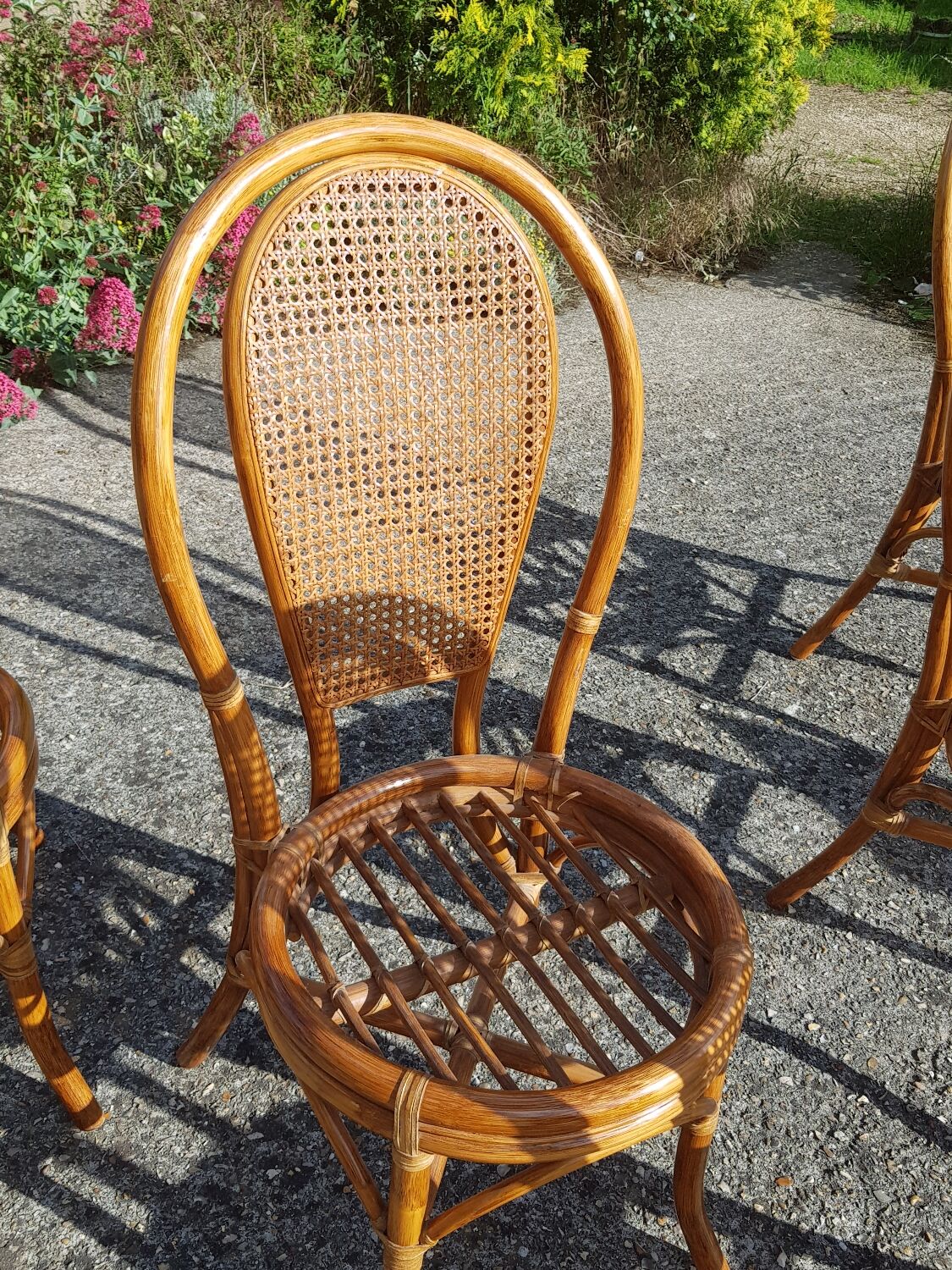 Lot 5 rattan chairs and canning 70s