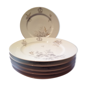 Assiettes en porcelaine - paris
