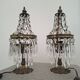 Lampes pampilles