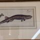 Gravure ancienne poisson – Ludwig Schmidt (XIXᵉ siècle)