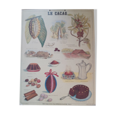 Vintage Deyrolle cardboard school poster