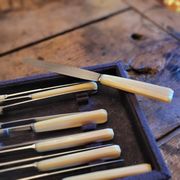 12 Rameau Sens stainless steel knives – France – 1950s/1970s