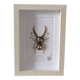 Tableau insecte brodé à la main (pièce unique)