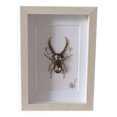 Hand-embroidered insect artwork (unique piece)