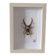 Tableau insecte brodé à la main (pièce unique)