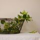 Metal basket