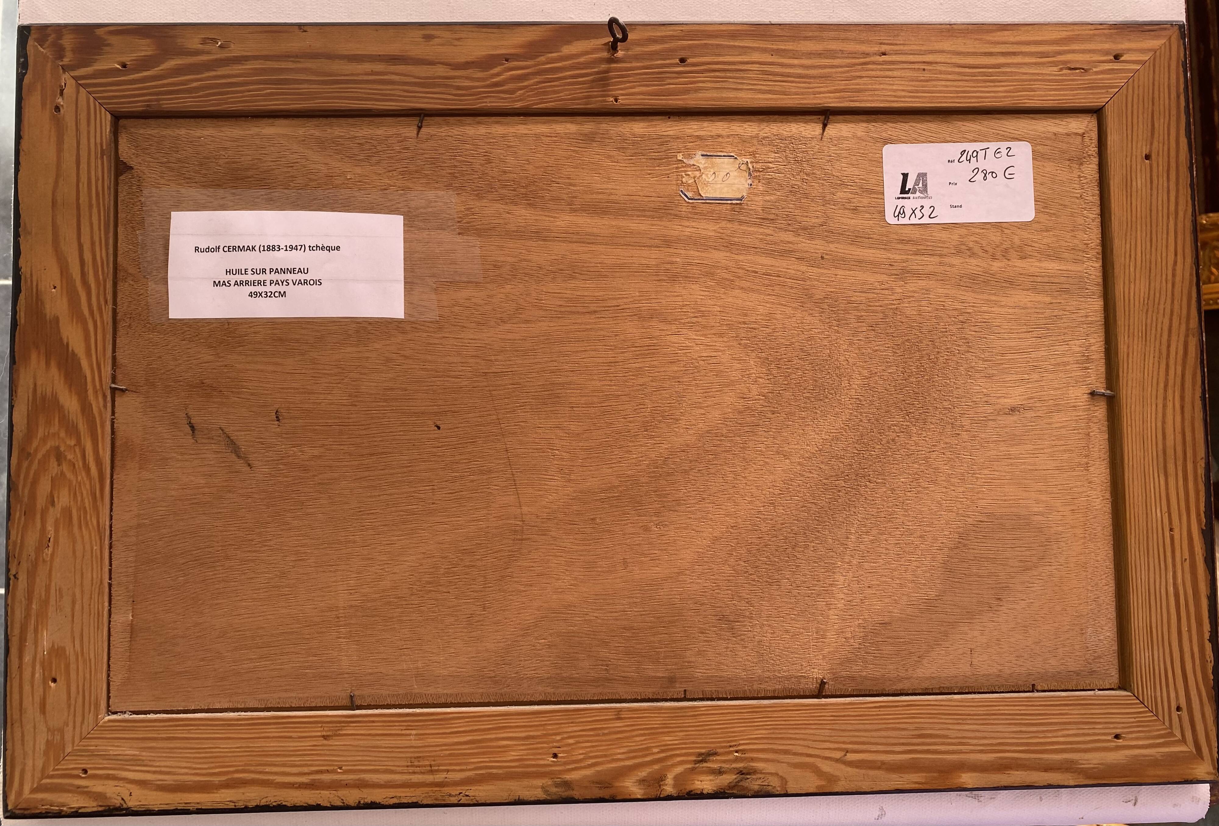 Rudolf Cermak - Var backcountry farmhouse