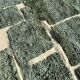 Moroccan Berber rug in green and white wool 200x300 cm – Designer rug con