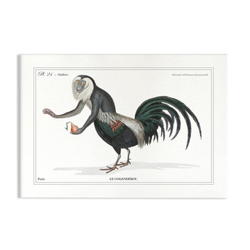 Chimera lithograph animal engraving - the coquandérou