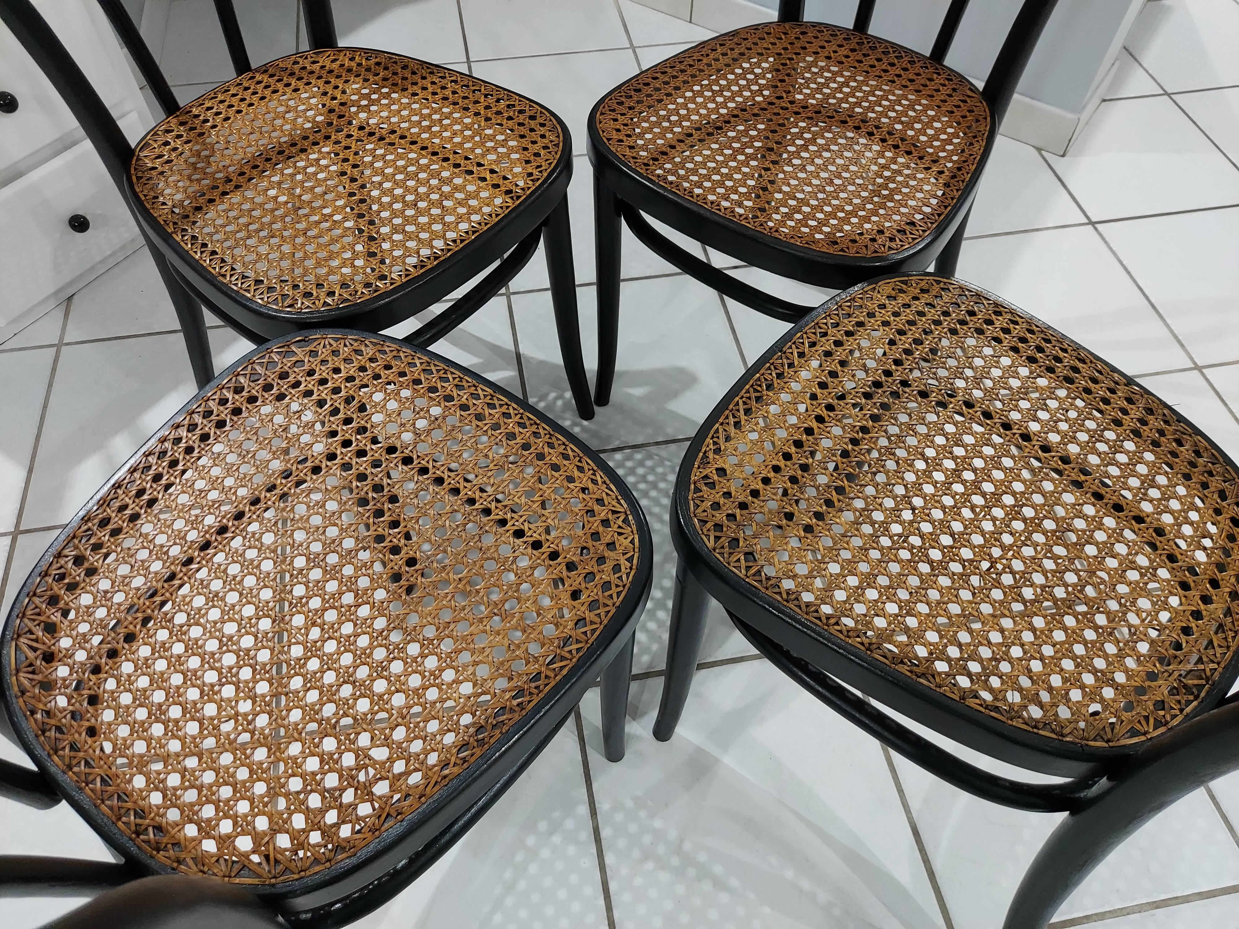 Suite of 4 Bistro chairs canned by ZPM for Thonet vintage 1950