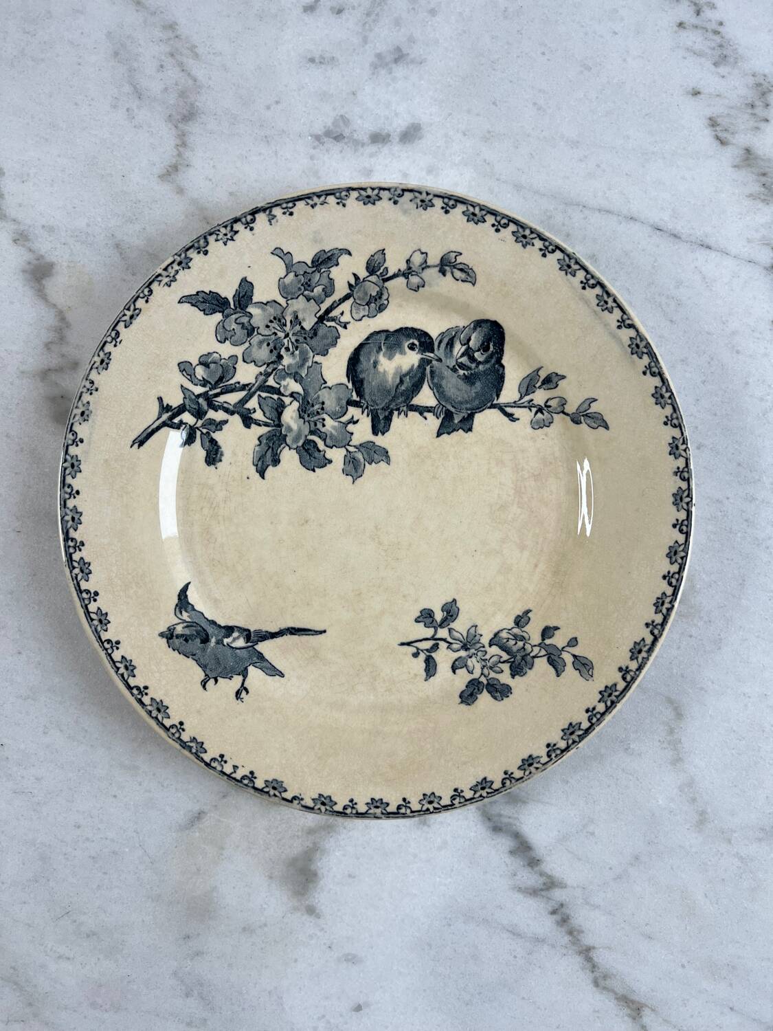 Iron earth plate Sarreguemines favourite