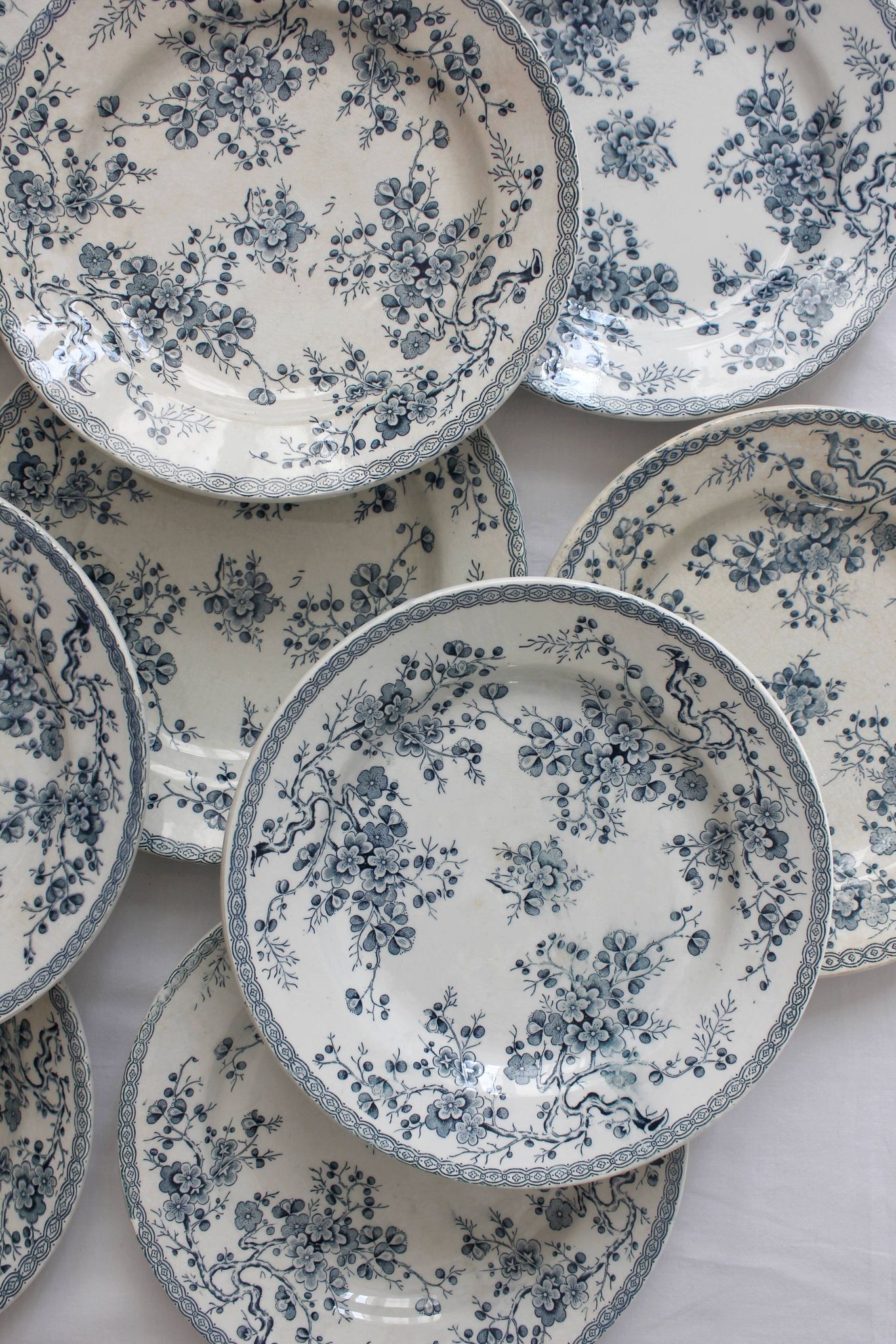 10 flat plates in iron earth "Fleurette" Gien gold medals